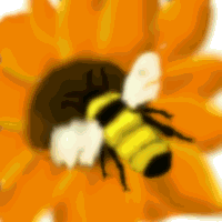 abeilles-25